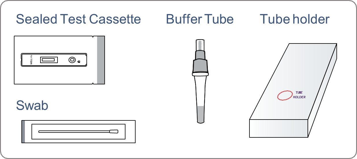 Illustration of four components of a test kit: a sealed test cassette labeled 'WELLlife,' a buffer tube containing liquid, a swab in sealed packaging, and a rectangular tube holder marked with a red circle labeled 'TUBE HOLDER.