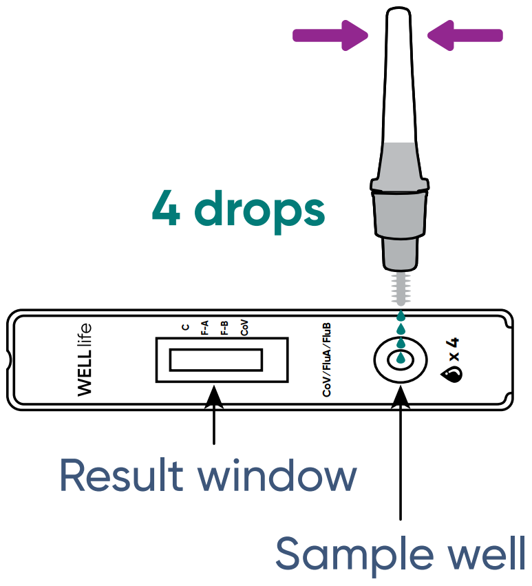 Illustration showing a buffer tube squeezing four drops into the sample well of a WELL life test cassette. Arrows point to the sample well and result window, with the instruction '4 drops' and squeeze arrows on the tube.